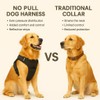 Wagzee Dog Harness – No Pull Adjustable Harness for Small,