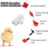 12 Pack Chicken Waterer PVC Tee Fittings - Fully Automatic