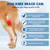 Moysoon Dog Knee Brace for Torn Acl Hind Leg -