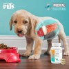 Probiótico Para Perro Probiotico En Tableta Masticable 60 Pz