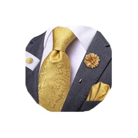 Dubulle Mens Tie and Lapel Pin Gold Paisley Striped Floral Necktie for Men Pocket Square Cufflinks Wedding Party