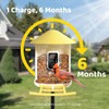 Birdfy Feeder with Solar Panel - Solar Powered Bird Feeder