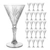 Plastic Martini Glasses 4.7oz, Mini Martini Glasses Disposable for Wedding