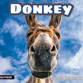 2027 Wall Calendar, Donkey Calendar 2027,Donkey Monthly Wall Calendar, 12" x 24" Open,Family Planner Calendar, Home & Office Organizer,Hangable