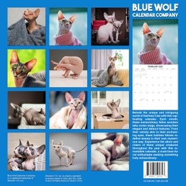 2025 Hairless Cats Monthly Wall Calendar | 12" x 24" | Thick Sturdy Paper | Sphynx Cats Calendar 2024-2025