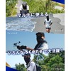 Wild Scene Face Cover, UV Protection, Cool Sensation, For Summer,