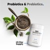 Codeage Codeage SBO Probiotics, 100 Billion CFUs Per Serving, Multi