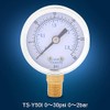 Walfront Pressure Gauge 0-30psi/2bar, 1/8" BSPT, Dual Scale, Compact, Metal