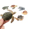 TOYMANY Set of 6 Turtle Figurines Realistic Turtle Animal Figures