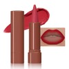 FeiCuiYun 2-in-1 Gradient Lip Liner and Lipstick Lip Combo Set,