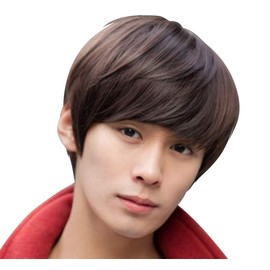 Wig, Short, Men's Wig, Full Wig, Short Hair, Straight, Fashion, Unisex, Handsome, Imechen, Men's Clothing, Small Face, With Net, Heat-resistant Fiber/Z856 (Black)