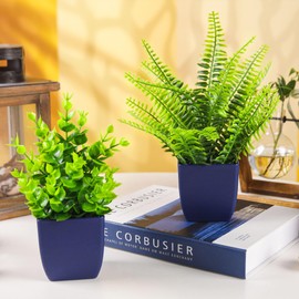 Der Rose 2 Pack Fake Plants Small Artificial Plants in Blue Pots Faux Plants Indoor for Home Room Bathroom Living Room Decor