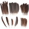 TOTSUN 40 Pcs Natural Pheasant Feathers 10-25 Cm Brown Speckled