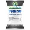 Epsom Salt (Magnesium Sulfate) Agricultural Grade Bulk (1 Pound)