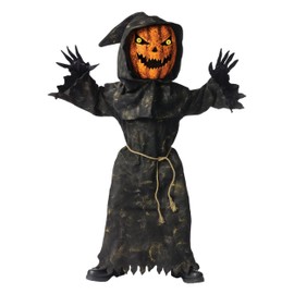 Fun World Bobble Head Pumpkin Costume, Large 12-14, Multicolor