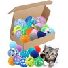 HEUHAI 15-Piece Cat Toy Set for Kittens and Indoor Cats