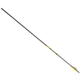 Gold Tip Hunter XT Arrows with Raptor Vane (Pack of 6), Black, 400