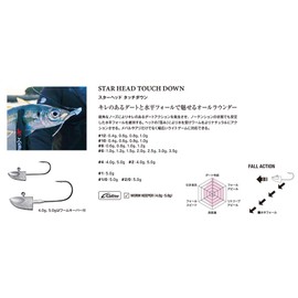 zesuta (Xesta) Jig Head Black Star Head Touchdown # 2/0/oz.