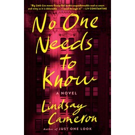 No One Needs to Know: A Novel