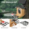 Bird Feeder with Camera 2K HD Video AI Identify Species