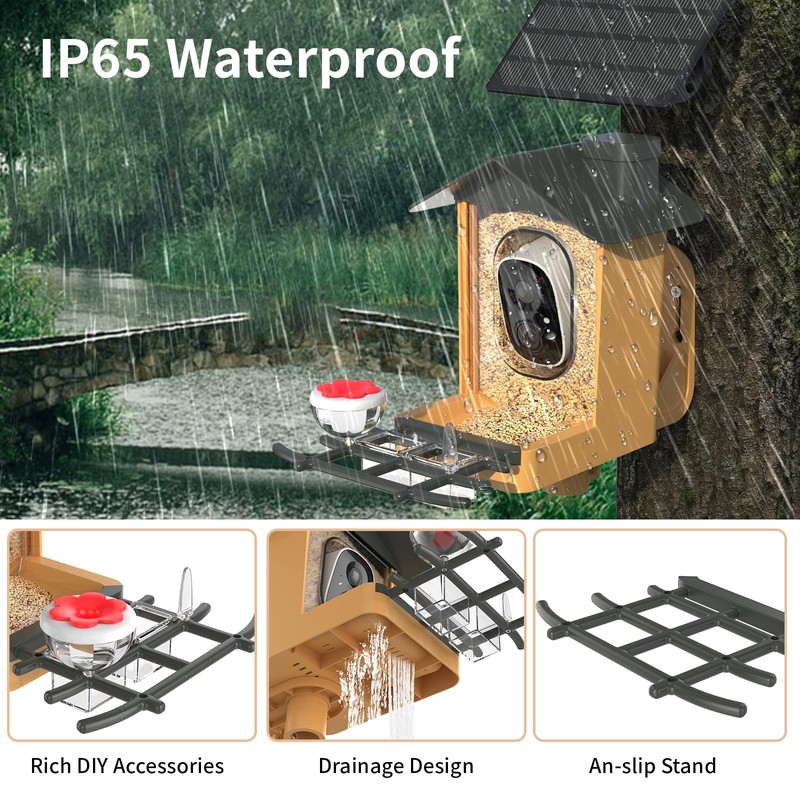 Bird Feeder with Camera 2K HD Video AI Identify Species