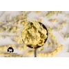 Greek Mountain Tea Organic (Sideritis Raeseri) Ironwort 1 OZ Herbal