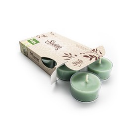 Bayberry Fir Premium Tealight Candles - Highly Scented with Essential Oils - 6 Green Tea Lights - Beautiful Candlelight - Made in The USA - Christmas & Holiday Collection
