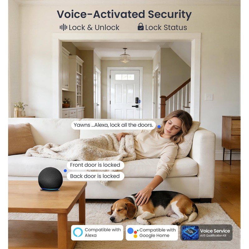Veise VE012W Built-in WiFi Fingerprint Smart Lock, App Remote Control,