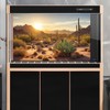 Reptile Habitat Background Sunset Desert Tank Decors Saguaro Cactus Arid