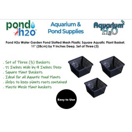 Aquatic Deep Square Plant Basket Size: 11"