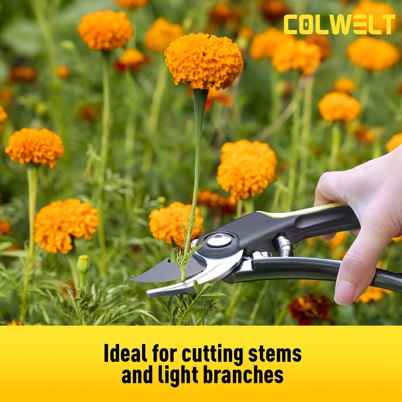 Colwelt Garden Secateurs, Ergonomic Professional Bypass Pruning Shears with Non-Stick