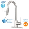 Pacific Bay Bellevue Pull-Down Kitchen Faucet – Single-Handle with in-Line