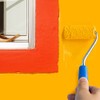 Mister Rui Paint Roller Kit, 25 Pack, 2 Inch Microfiber