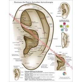 Spanish Auricular Ear Acupuncture Chart 8.5" X 11" Auriculotherapy