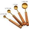 Dadamong Stainless Steel Measuring Spoons Set of 4, Gold Measuring