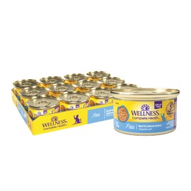 Wellness Complete Health Pate Adult Wet Cat Food, Natural, Protein-Rich, Grain Free, 3 Ounce, 24 Pack, (Beef & Salmon)