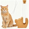 Cat Whisker Holder Fridge Magnet, Clear Glass vases with Wooden