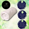 Nair Facial Wax Strips Bundle with Exfoliator Puff & BVO