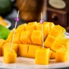 CUNQN Bastoncino da cocktail, spiedini di cibo, spiedini di bastoncini