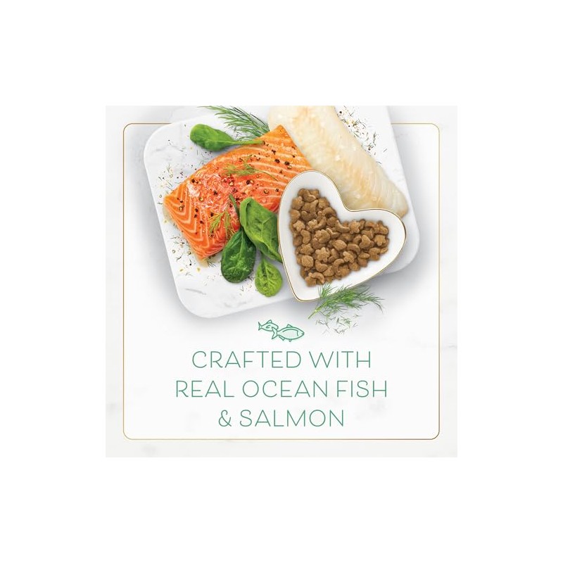 Fancy Feast Gourmet - Oceanfish & Salmon Formula - 3