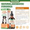 Natural Antibiotics for Dogs - Dog Antibiotics for Infection, Allergy,