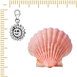 Quiges 925 Silver Charm Pendant Sun and Flowers with Lobster Clasp for Bracelets, enamel