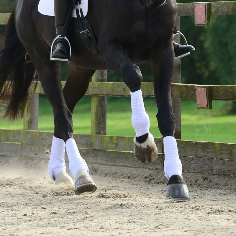 equilibrium Unisex's Stretch and Flex Narrow Training Wrap-White, Medium