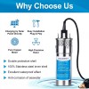 ‎ECO-WORTHY 12V DC Submersible Deep Well Pump 3.2GPM 230ft for