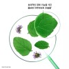 Aqua Mint 아쿠아민트 딥클렌징 쿨링 샴푸 400ml 2개 Aqua Mint