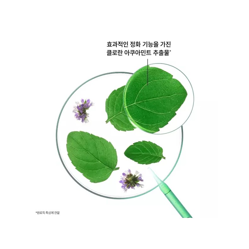 Aqua Mint 아쿠아민트 딥클렌징 쿨링 샴푸 400ml 2개 Aqua Mint