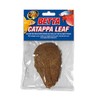Zoo Med Betta Catappa Leaf, Count of 3