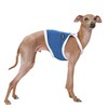 D Doggy Star Italian Greyhound Clothes Summer Cooling String Sleeveless