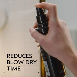 Aveda Speed of Light Blow Dry Accelerator Spray | Primer | Cuts Dry Time | Heat Protectant | Pre-Styling Spray | 90% Naturally Derived*, 6.7 Fl Oz