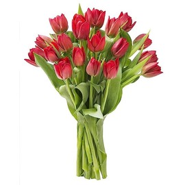 KaBloom PRIME NEXT DAY DELIVERY - Mother’s Day Collection - Valentine's Day Collection - Bouquet of 10 Red Tulips Gift for Birthday, Anniversary, Get Well, Easter, Valentine, Mother’s Day Flowers